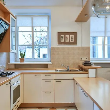 S3 Heart Of Old Town * Vilnius