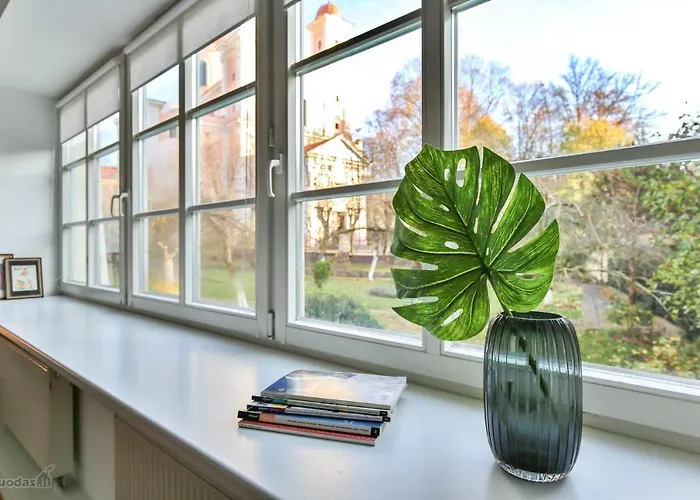 S3 Heart Of Old Town Vilnius