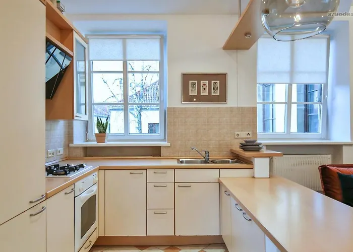 S3 Heart Of Old Town * Vilnius