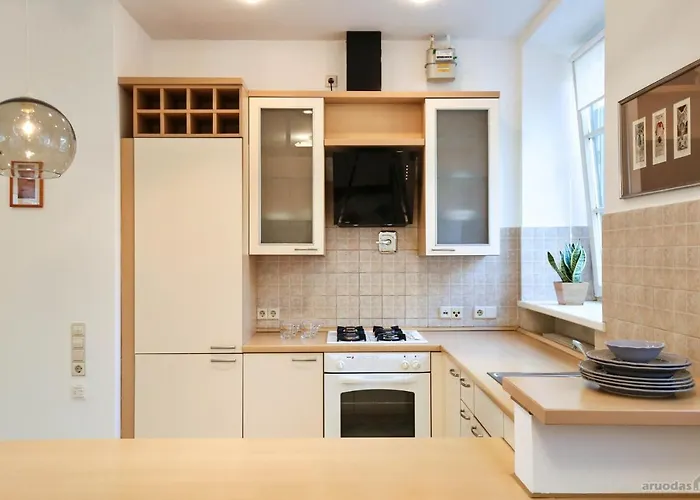 Apartment S3 Heart Of Old Town Vilnius