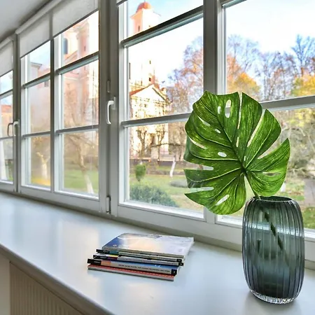 S3 Heart Of Old Town Vilnius